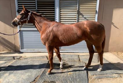 ������ ����