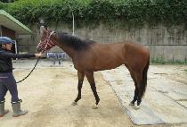 �̽�ó�� (ISEUL CHEOREOM) ����