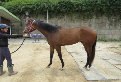 �̽�ó�� ����