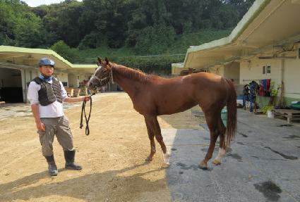 �������� ����