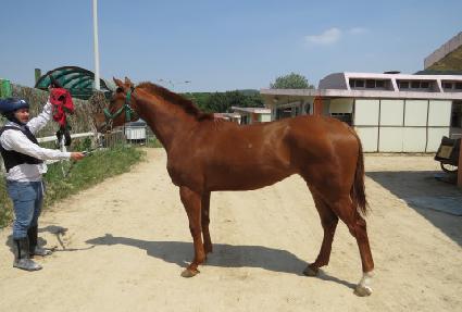 �����̷��� ����