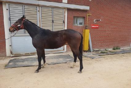 ��ڼ��� ����