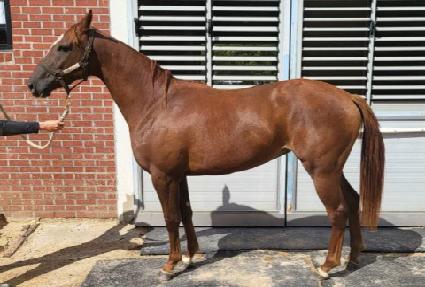 �����̵� ����