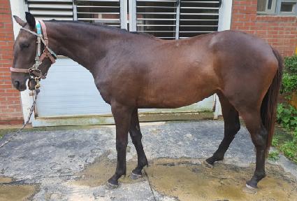 �������� ����