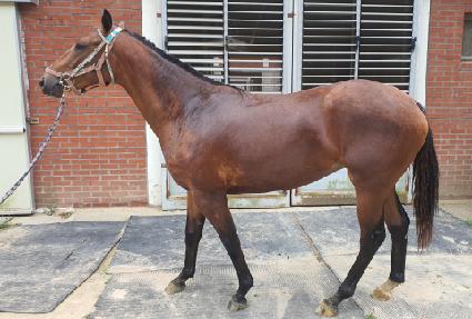 �������ٸ� ����