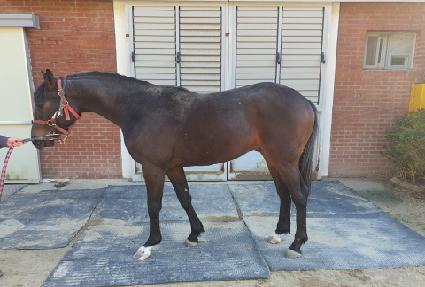 ������� ����