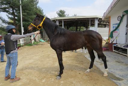 ���ڿ��� ����