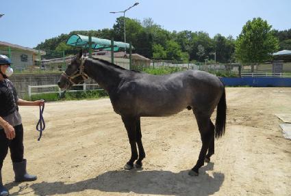 ���÷���� ����