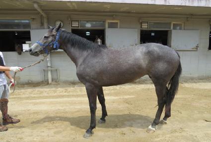 ������ũ ����