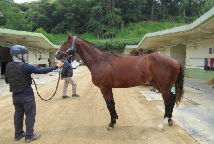 �������� ����