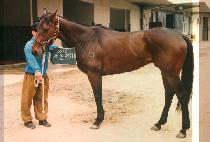 ������ȭ (JA KUN PYENG WHA) ����