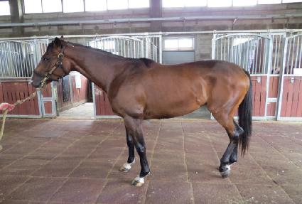 �������� ����