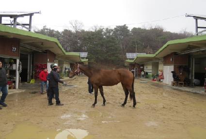 ����Ʈ�� ����