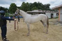 �̽�Ʈ���� (EAST GANGJEOK) ����