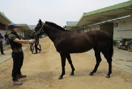 ���������̵� ����