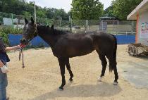 ť�ǵ����� (CUPID K) ����