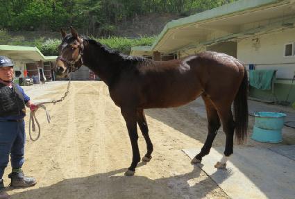 ������Ʈ ����