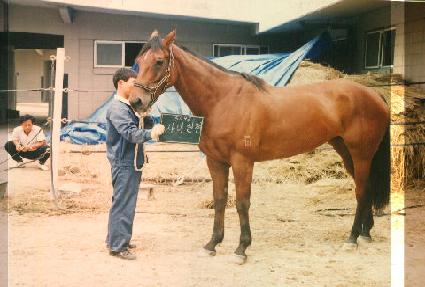 �ھƽ��� ����