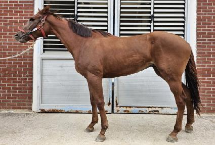 ������ ����