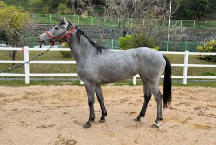 �ְ����� ����