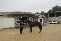 ��Ź������ (MONTAUK SUNSHINE) ����