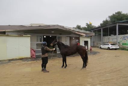 ��Ź������ ����