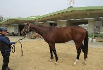 �����ǽ�Ÿ (BEOLGYOUI STAR) ����