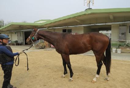 �����ǽ�Ÿ ����