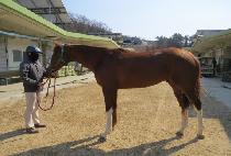 ���缱 (BLUE SUN) ����