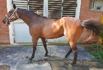 ��������Ƽ (OVER THE BEAUTY) ����