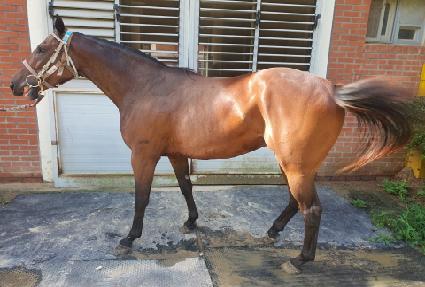 ��������Ƽ ����