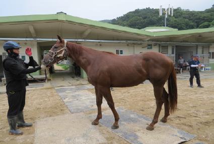 ������ ����