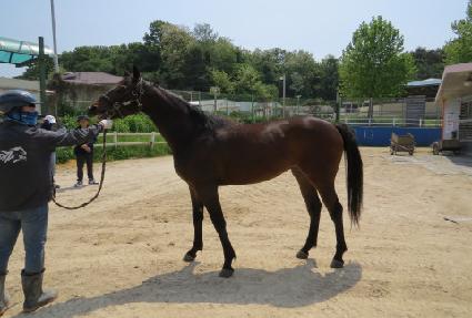 ����Ʈ����ũ ����