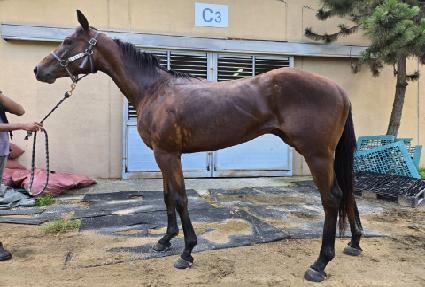 �������ݵ� ����