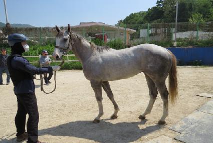 �巡������ ����