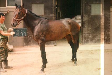 ��ȭ�� ����