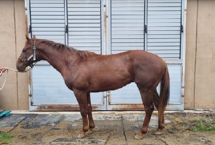 �����縯�� ����