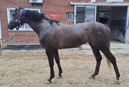 �ö��������� ����