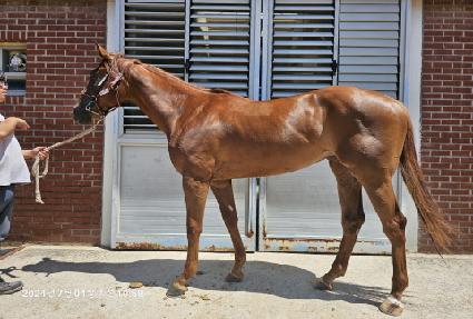 �뽺�����̵� ����