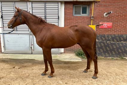 �ö��״�ĭ ����