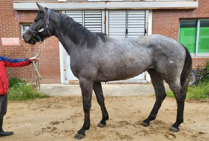 ��Ʈ�ѹ��� ����