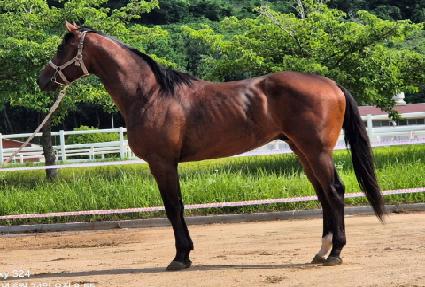 ���̼�ŷ ����