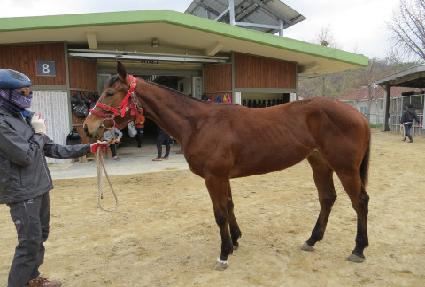 ������ ����