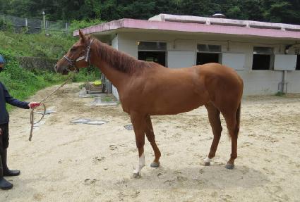 �������о� ����