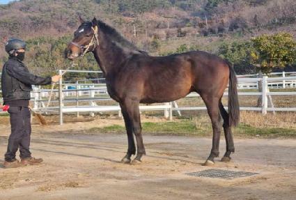 ����п� ����