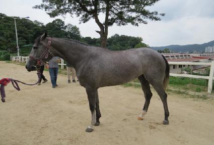 �����ǹ��� ����