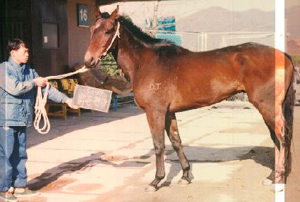 �������� ����