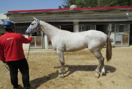 ��³������ ����