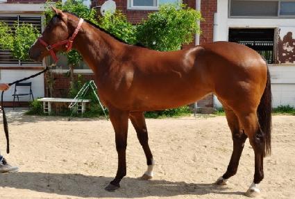 �������۽�Ÿ ����