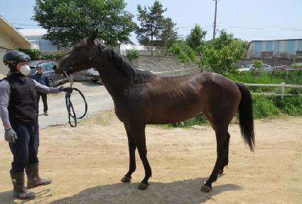 ����Ǯ���� ����